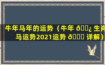 牛年马年的运势（牛年 🌿 生肖马运势2021运势 🐎 详解）